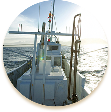 関西圏の遊漁船漁師直送の釣り物魚